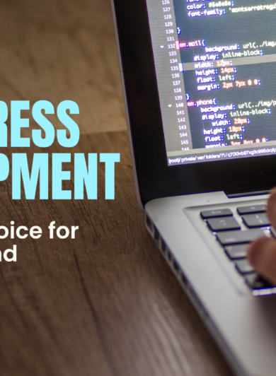WordPress development